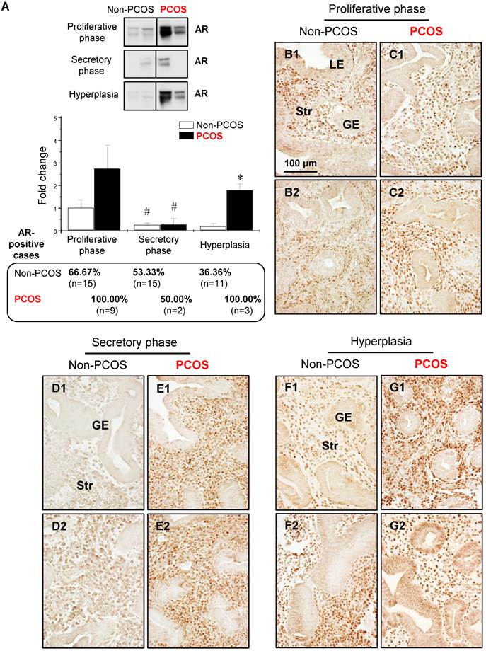 Int J Biol Sci Image