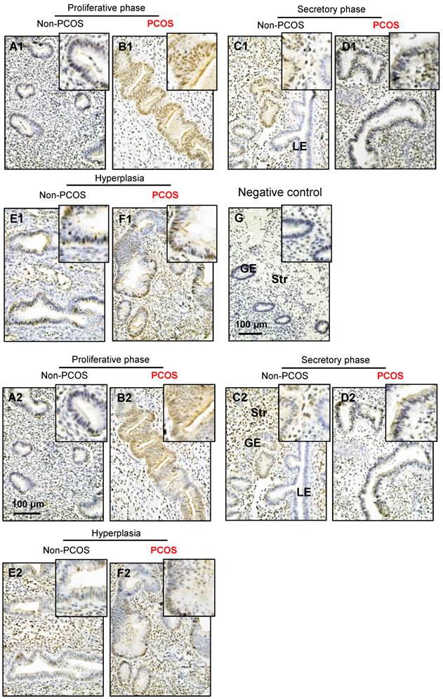 Int J Biol Sci Image