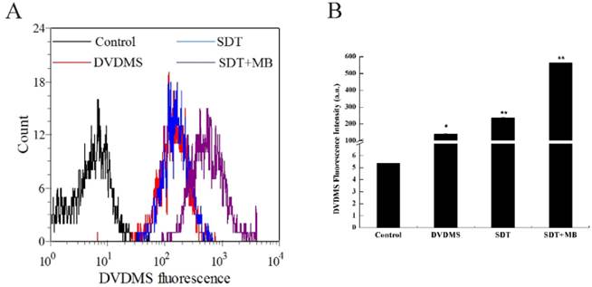 Int J Biol Sci Image