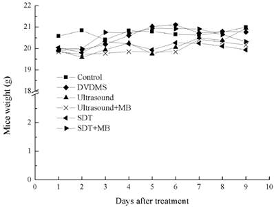 Int J Biol Sci Image