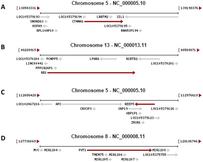 Int J Biol Sci Image