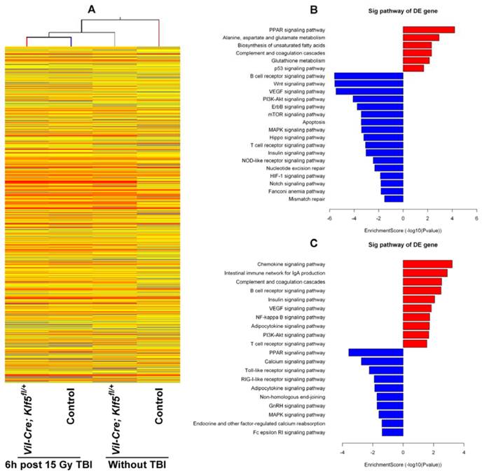 Int J Biol Sci Image