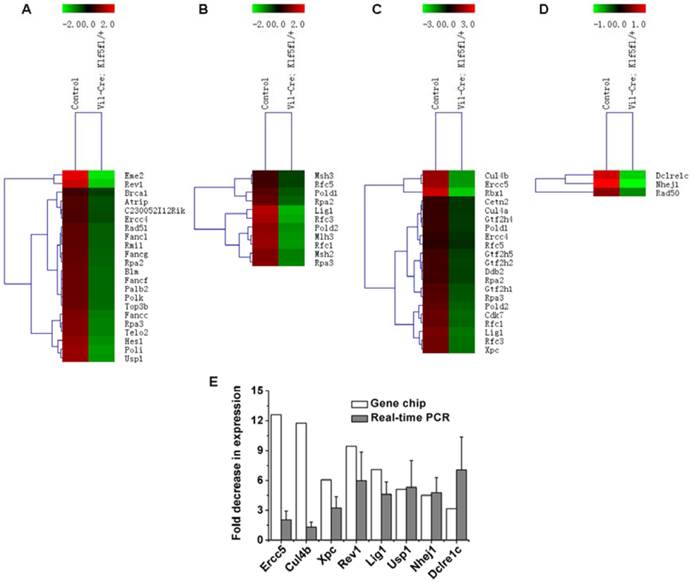 Int J Biol Sci Image