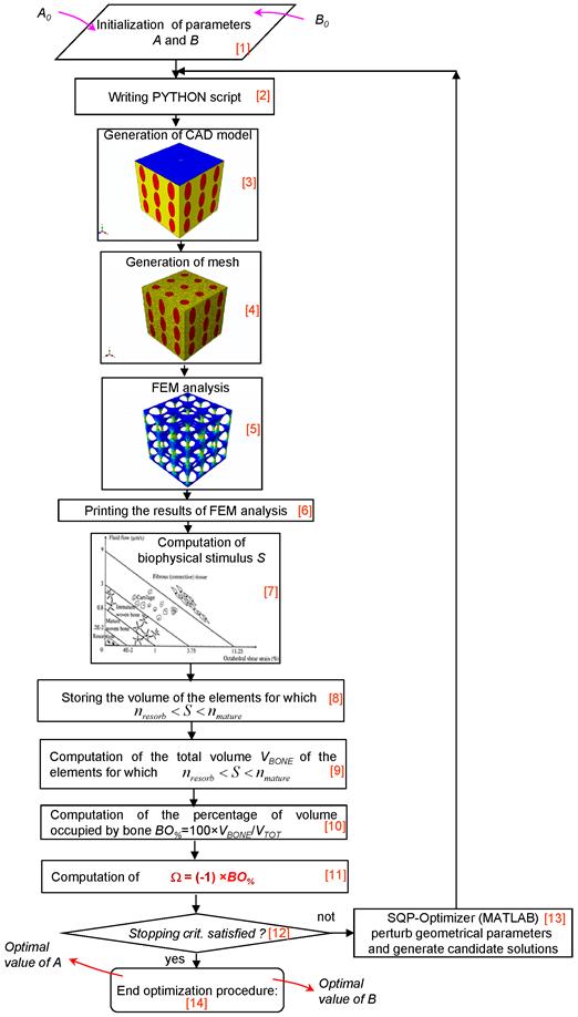 Int J Biol Sci Image