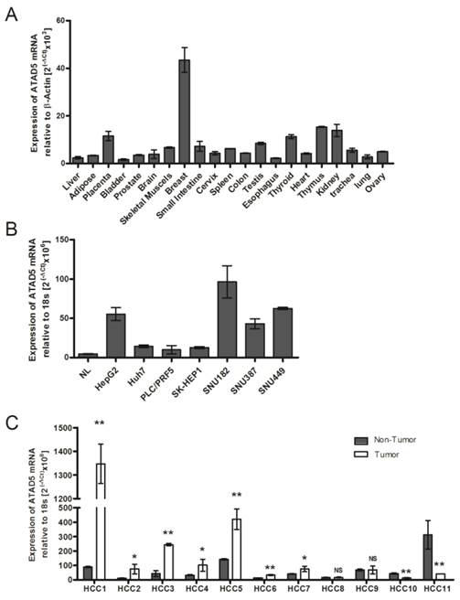 Int J Biol Sci Image