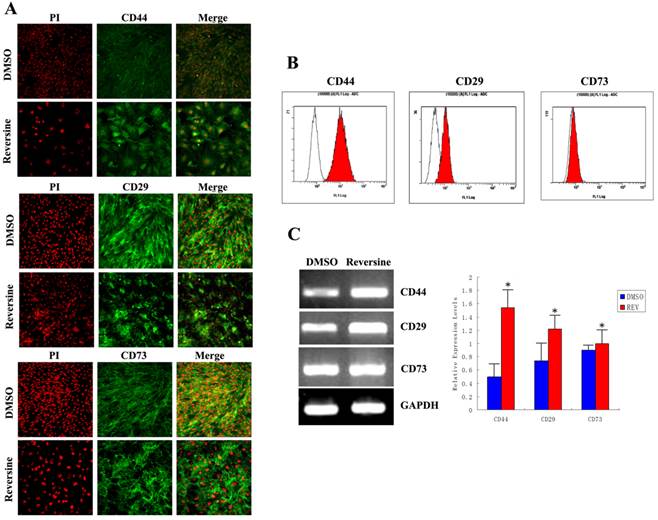 Int J Biol Sci Image