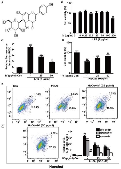 Int J Biol Sci Image