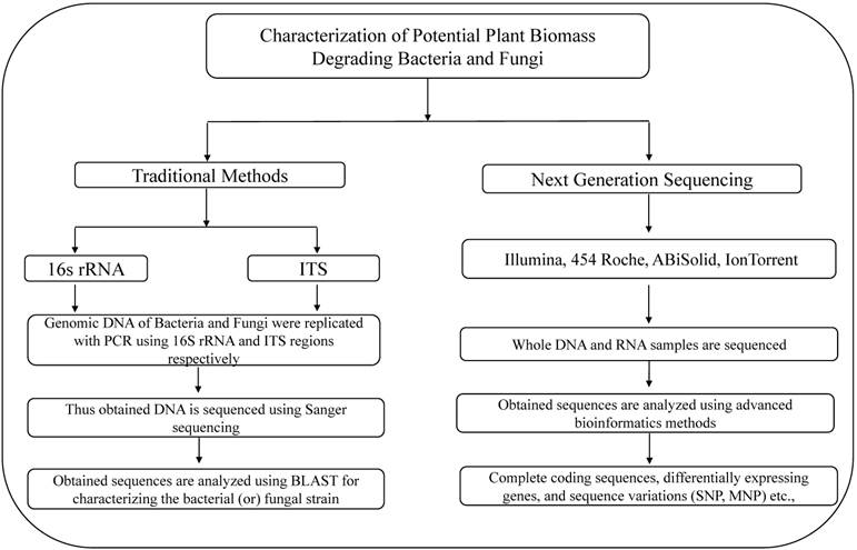 Int J Biol Sci Image