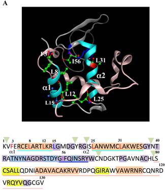 Int J Biol Sci Image