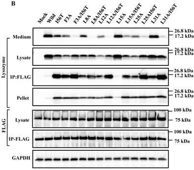 Int J Biol Sci Image