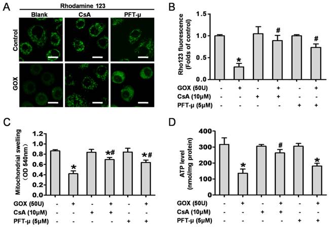 Int J Biol Sci Image