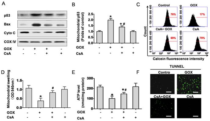 Int J Biol Sci Image