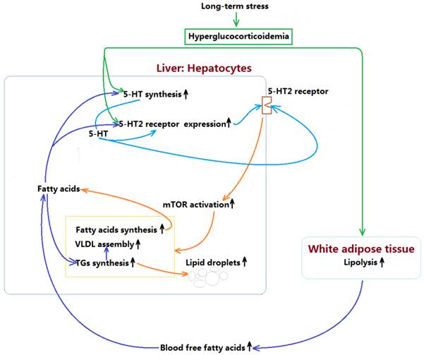 Int J Biol Sci Image