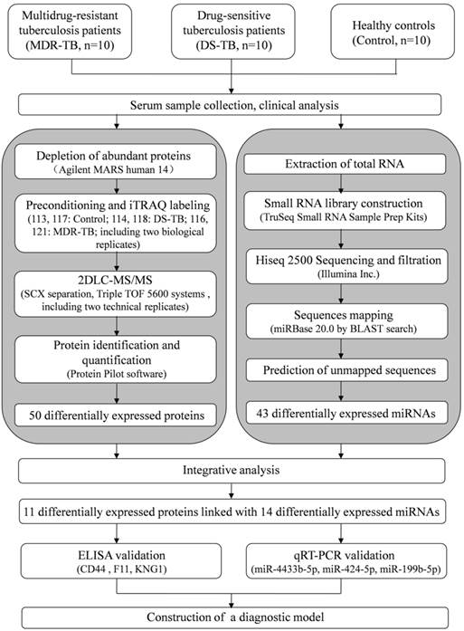 Int J Biol Sci Image