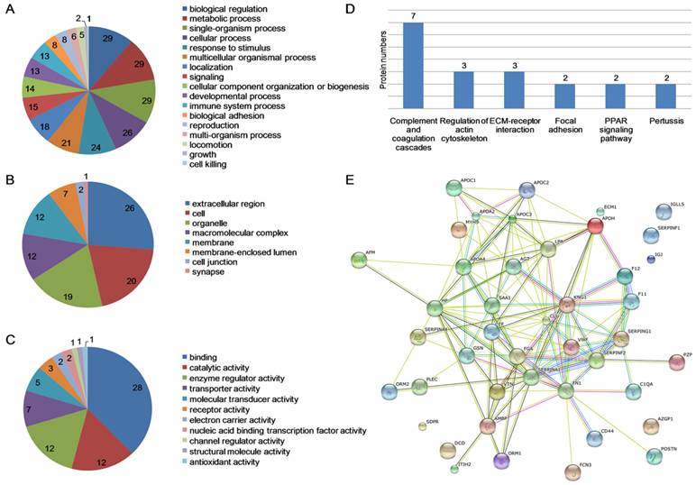 Int J Biol Sci Image