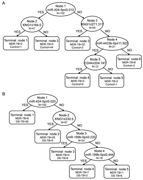 Int J Biol Sci Image