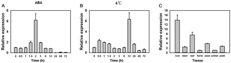 Int J Biol Sci Image