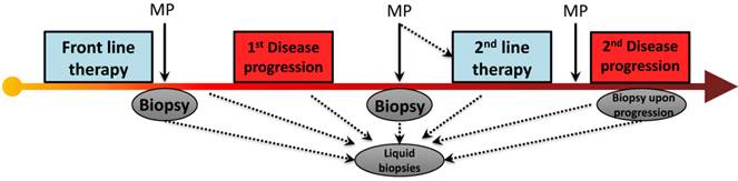 Int J Biol Sci Image