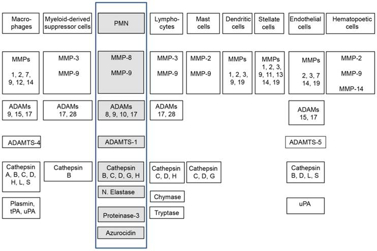 Int J Biol Sci Image