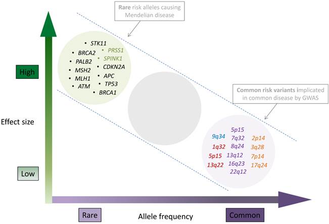 Int J Biol Sci Image