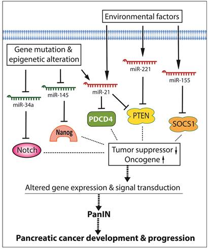 Int J Biol Sci Image