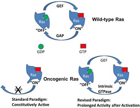 Int J Biol Sci Image