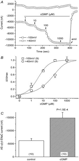 Int J Biol Sci Image