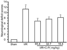 Int J Biol Sci Image