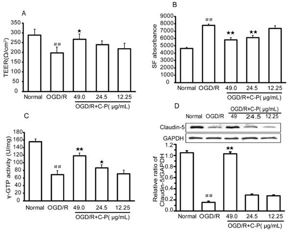 Int J Biol Sci Image