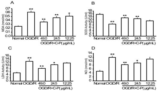 Int J Biol Sci Image