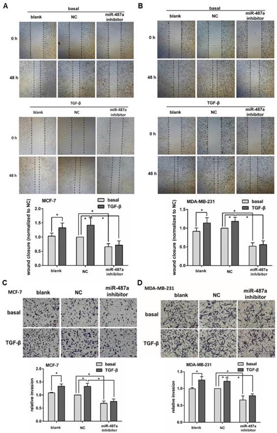 Int J Biol Sci Image