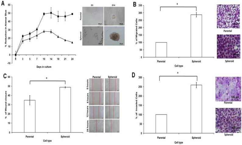 Int J Biol Sci Image