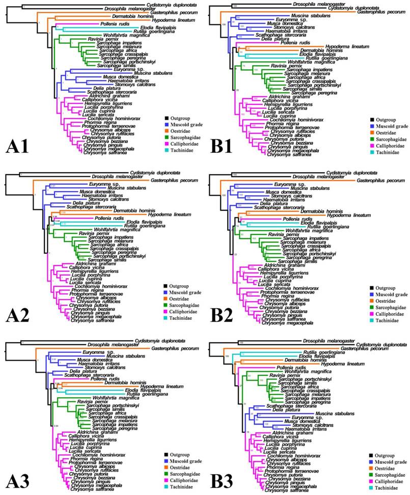 Int J Biol Sci Image