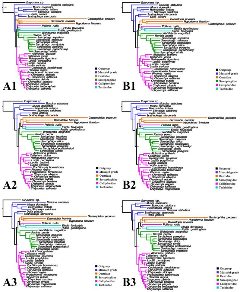 Int J Biol Sci Image