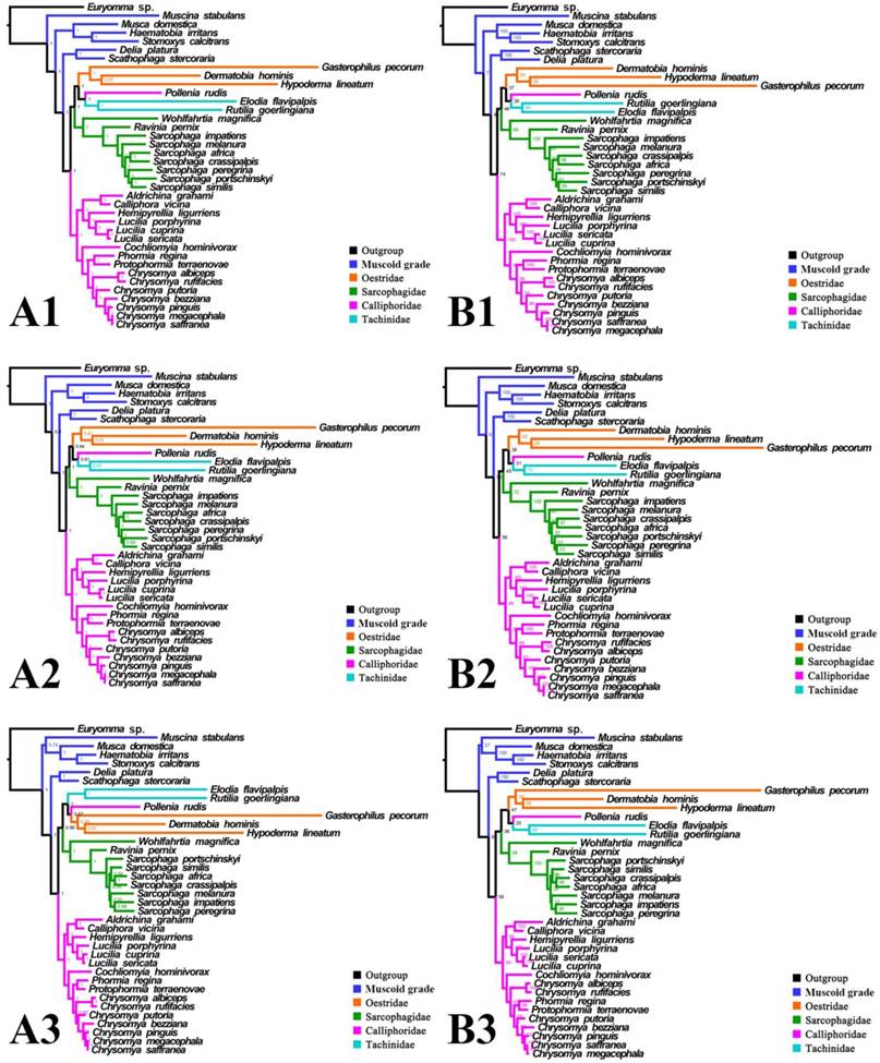 Int J Biol Sci Image