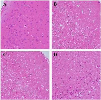 Int J Biol Sci Image