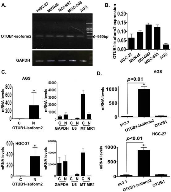 Int J Biol Sci Image