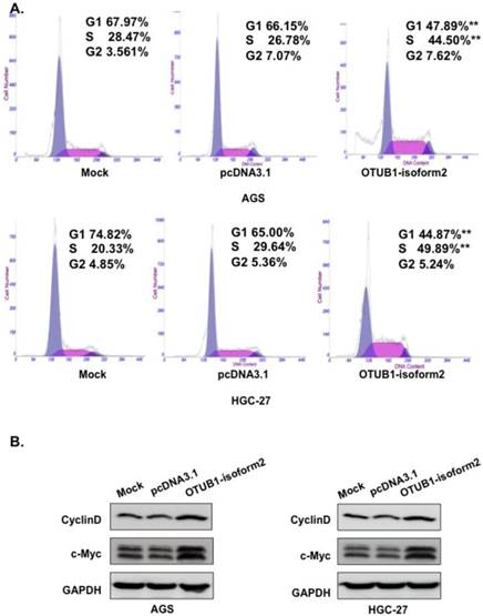 Int J Biol Sci Image