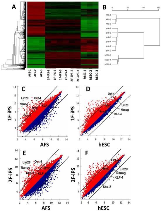 Int J Biol Sci Image