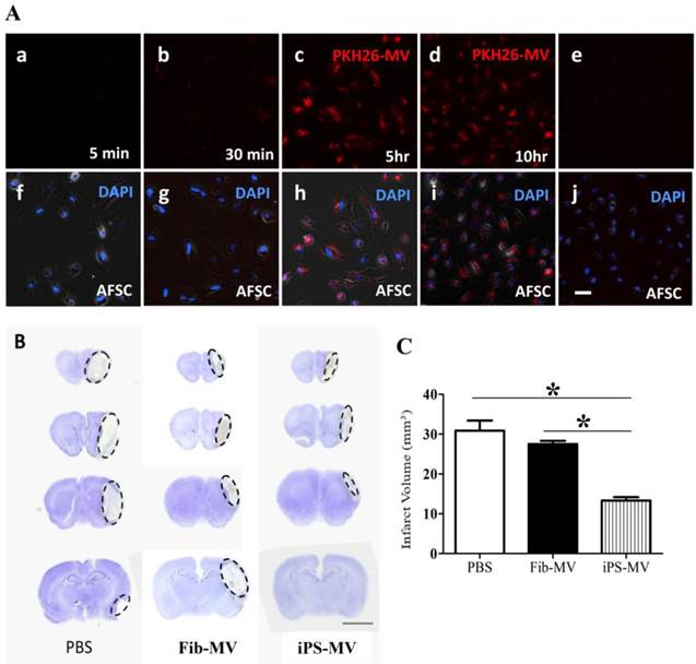 Int J Biol Sci Image