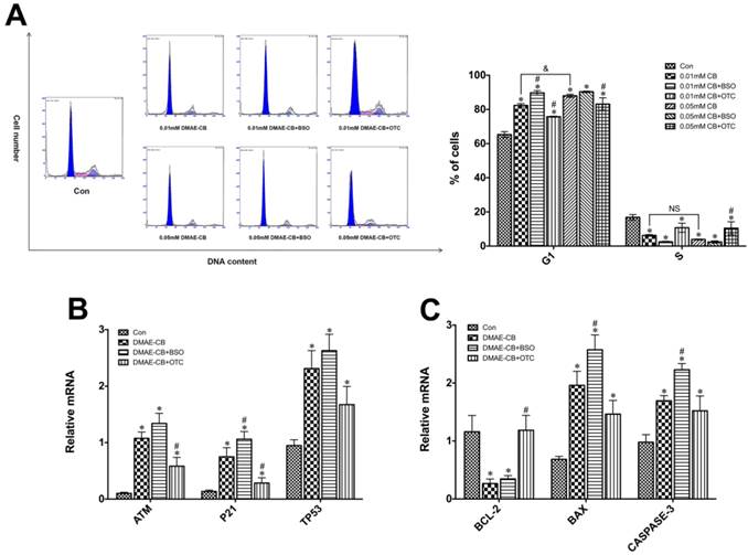 Int J Biol Sci Image