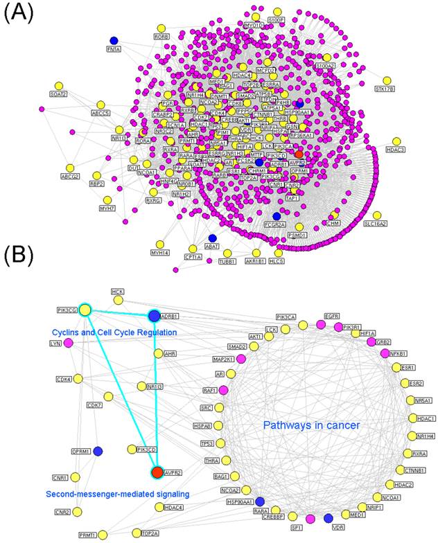 Int J Biol Sci Image