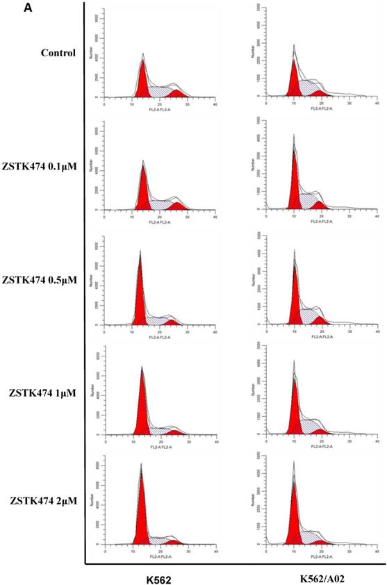 Int J Biol Sci Image