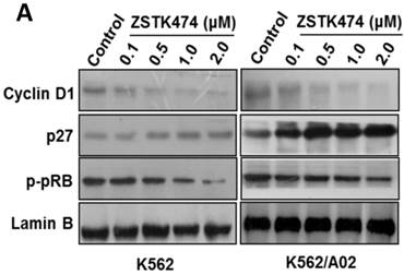 Int J Biol Sci Image