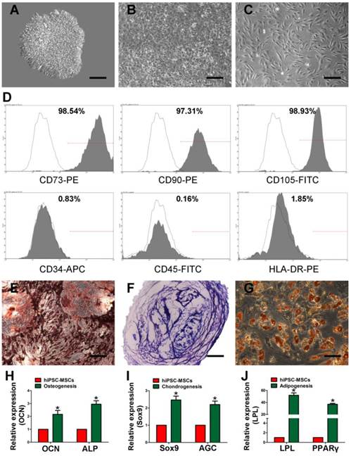 Int J Biol Sci Image