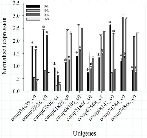 Int J Biol Sci Image