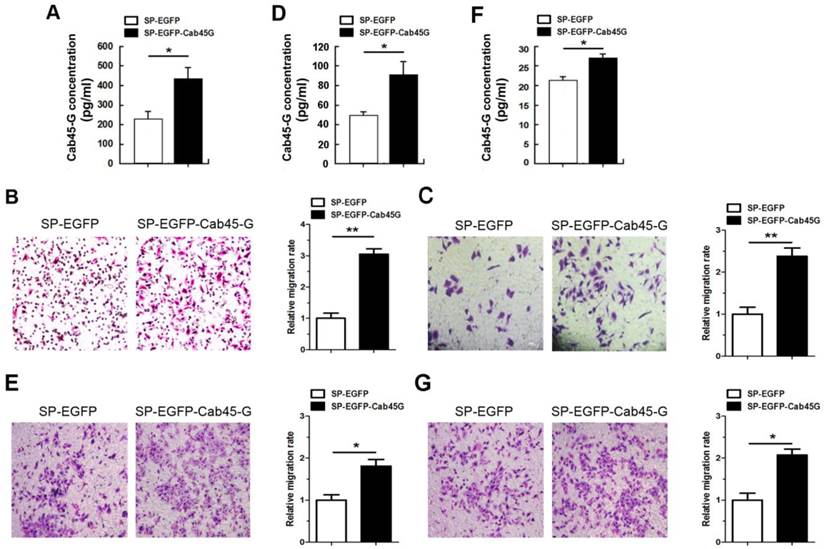 Int J Biol Sci Image