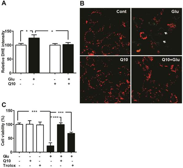 Int J Biol Sci Image