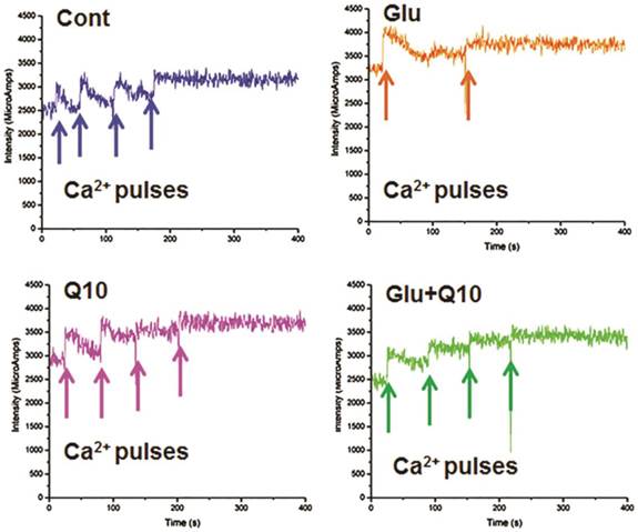 Int J Biol Sci Image