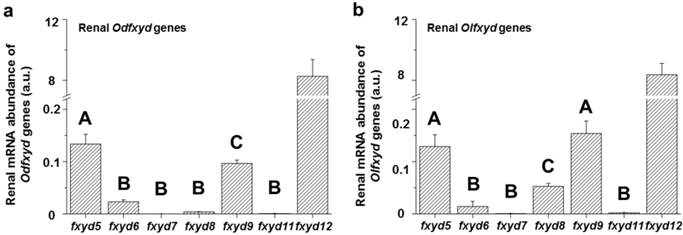 Int J Biol Sci Image